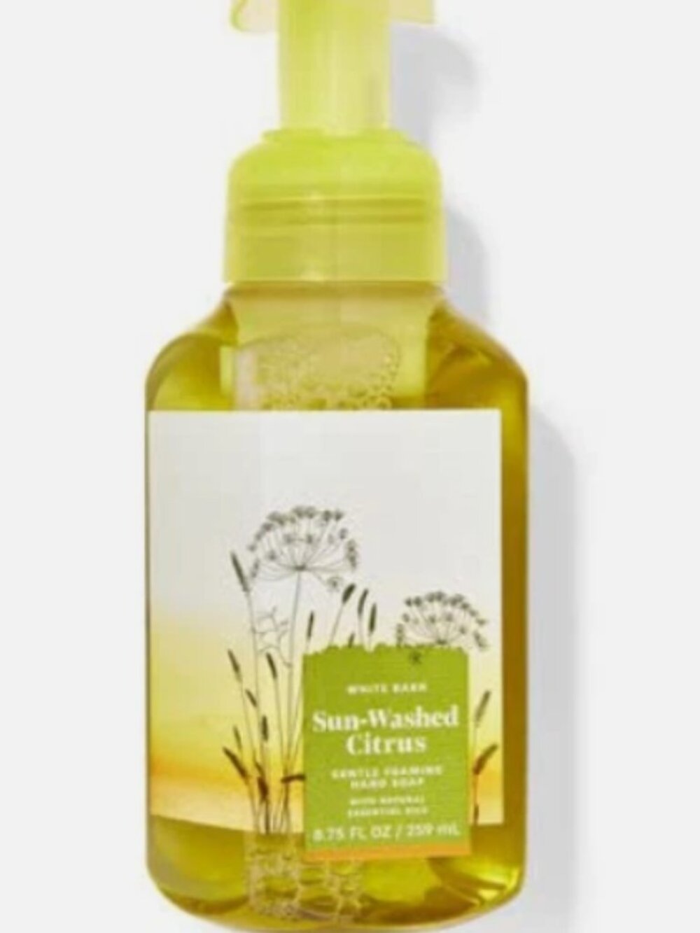 Bath and Body Works Sun-Washed Citrus Gentle‎ Foaming Hand Soap